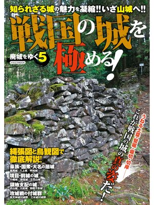 cover image of 廃城をゆく5